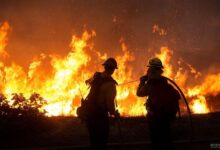 رشد حوادث ناشی از آتش در سال‌های اخیر